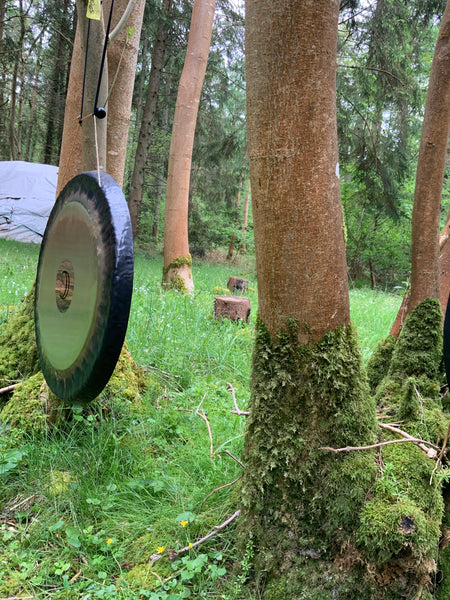 Moon Gong with Scania from the Woods