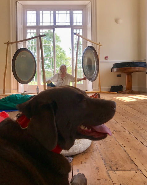 Dog Gong
