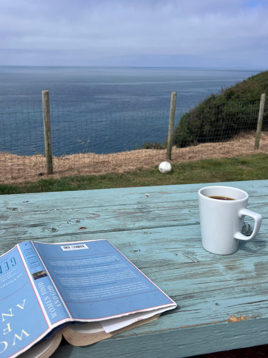 Women Food and God by Geneen Roth held open on a harbour wall overlooking Aberaeron sea