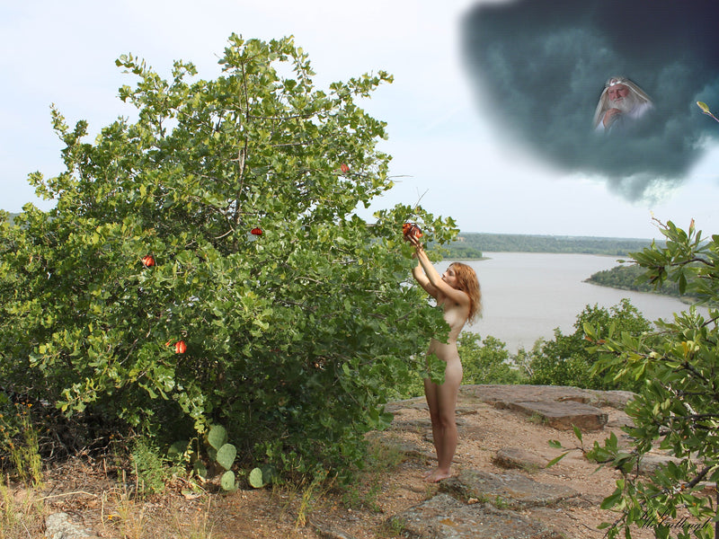 Imagine if we all planted something! Ron Finley