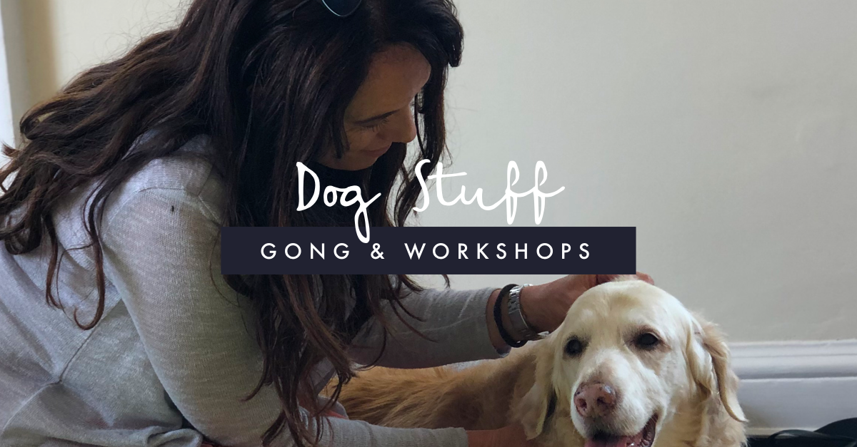 Dog Gong & Workshops