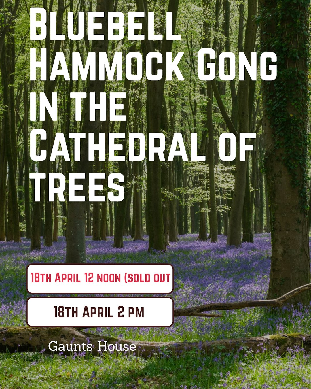 Blue Bell Gong Bath in Hammocks in the Cathedral of Trees- Gaunts House 18th April 12 noon (sold out), 2pm session available - Scania Price