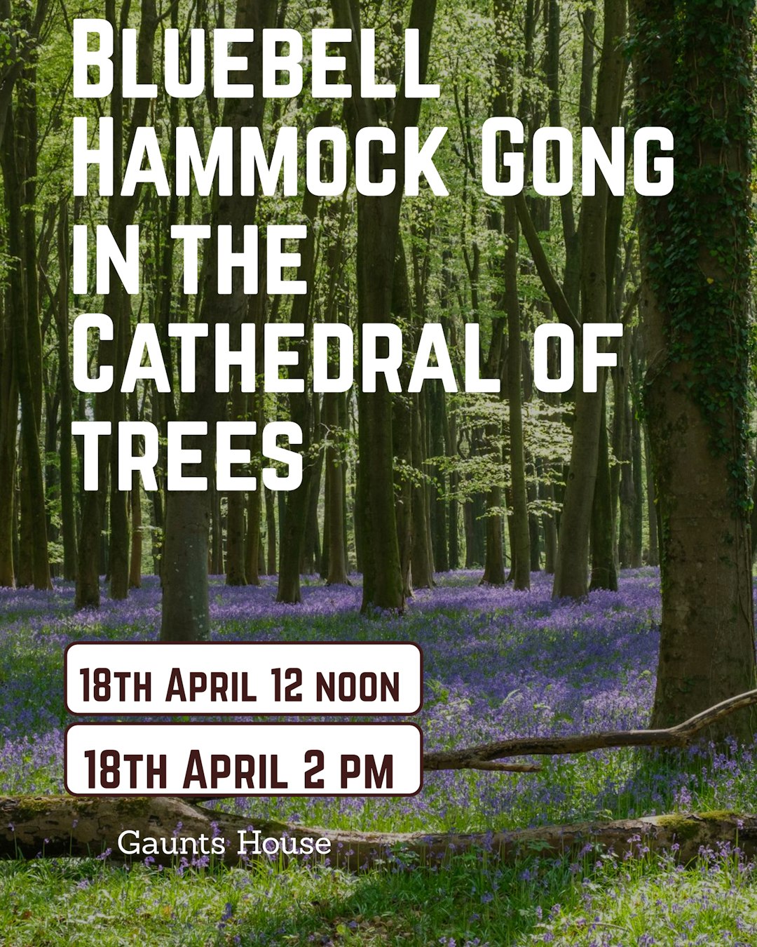 Blue Bell Gong Bath in Hammocks in the Cathedral of Trees- Gaunts House 18th April 12 noon and 2pm session available - Scania Price