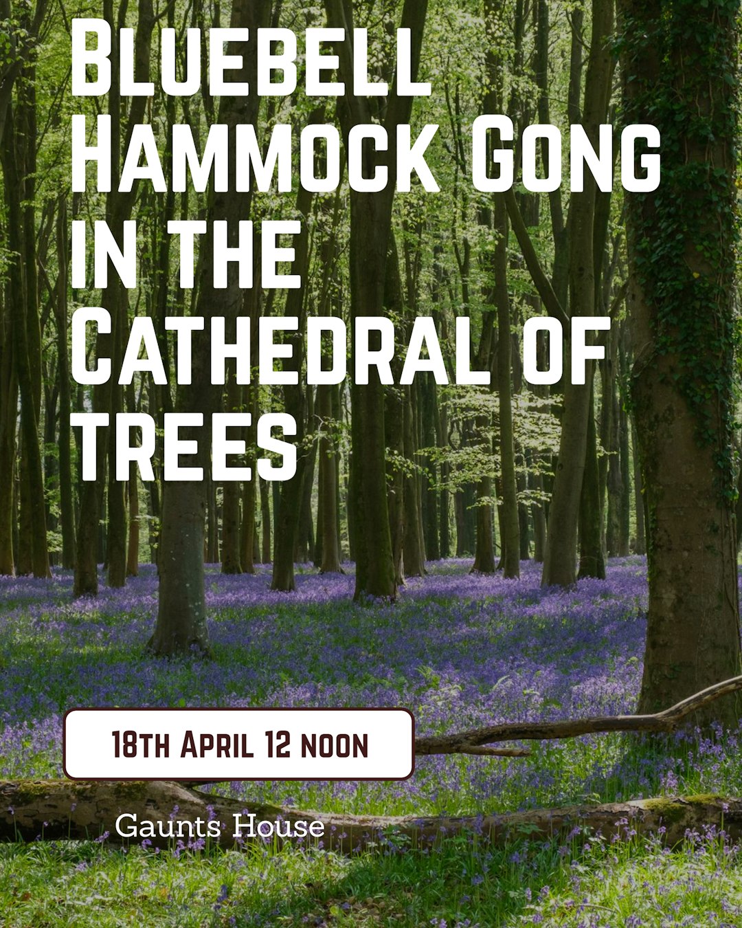Blue Bell Gong Bath in Hammocks in the Cathedral of Trees- Gaunts House 18th April 12 noon - Scania Price
