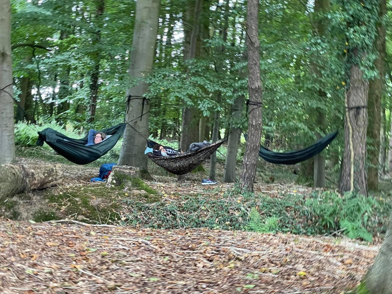 Blue Bell Gong Bath in Hammocks in the Cathedral of Trees- Gaunts House 18th April 12 noon - Scania Price