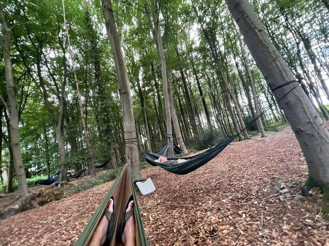 Blue Bell Gong Bath in Hammocks in the Cathedral of Trees- Gaunts House 18th April 12 noon - Scania Price